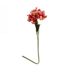 Everlasting Sole Hydrangea Long Stem Pink