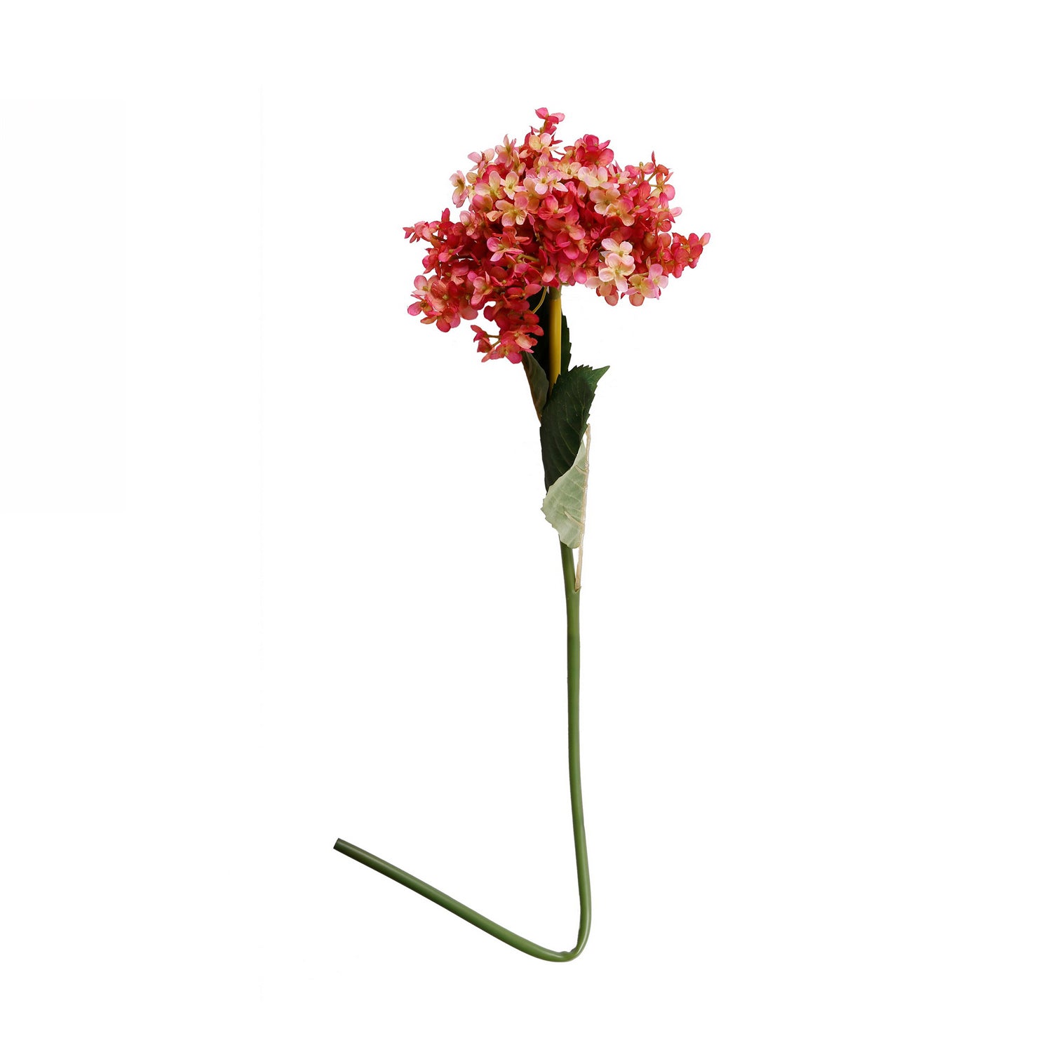 Everlasting Sole Hydrangea Long Stem Pink