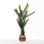 Everlasting Paloma Palm Tree 150cm
