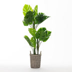 Everlasting Paloma Monstera 110cm