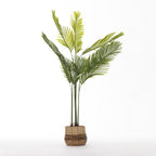 Everlasting Paloma Fern Palm 170cm