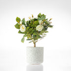Everlasting Avery Rose Bonsai 25cm