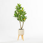 Everlasting Avery Lemon Tree 90cm