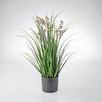 Everlasting Avery Flower Grass 60cm