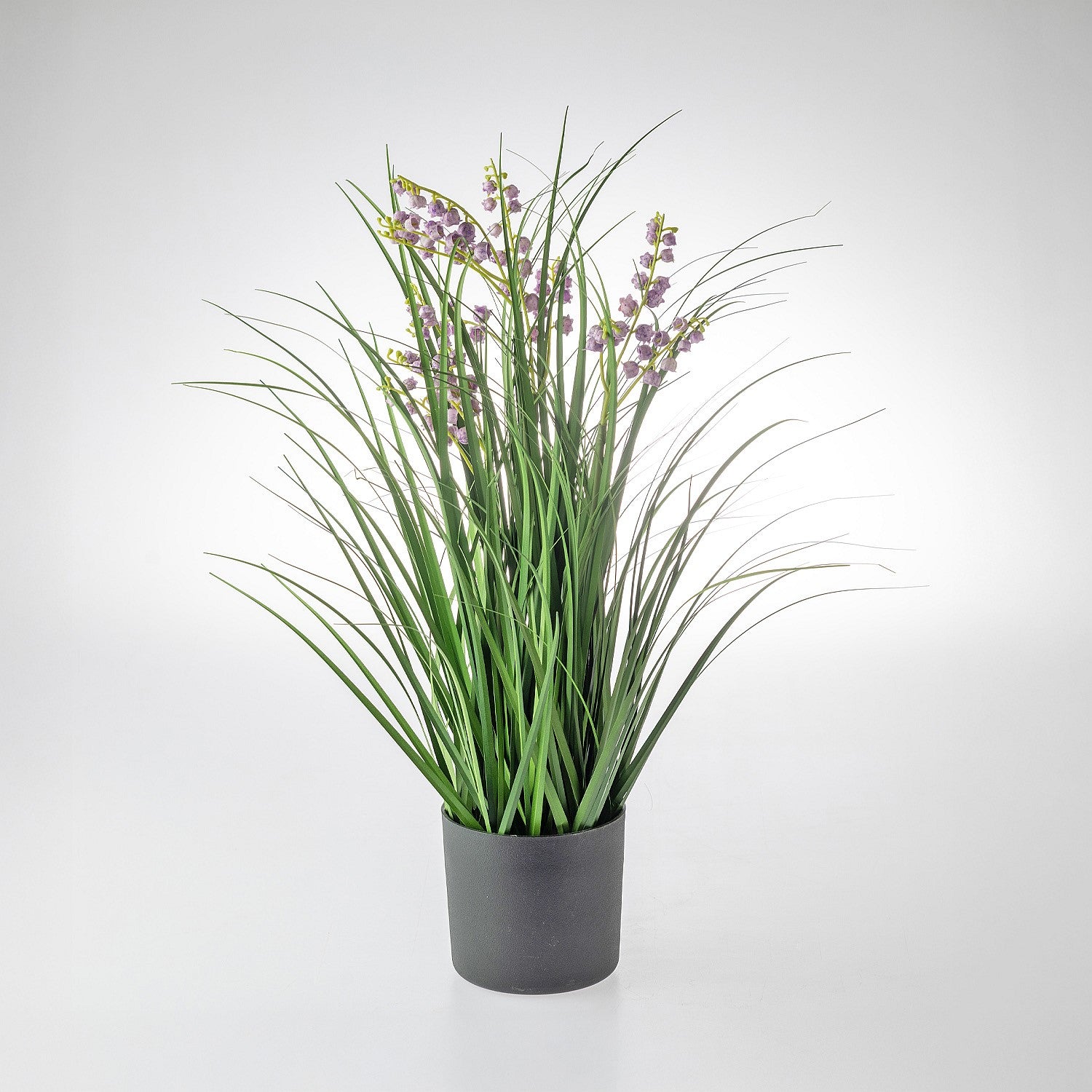 Everlasting Avery Flower Grass 60cm