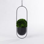 FAULTY CANT GO ONLINE Everlasting Tuscany Topiary Ball & Hanger
