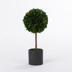 FAULTY CANT GO ONLINE Everlasting Tuscany Topiary Boxwood Ball 38cm