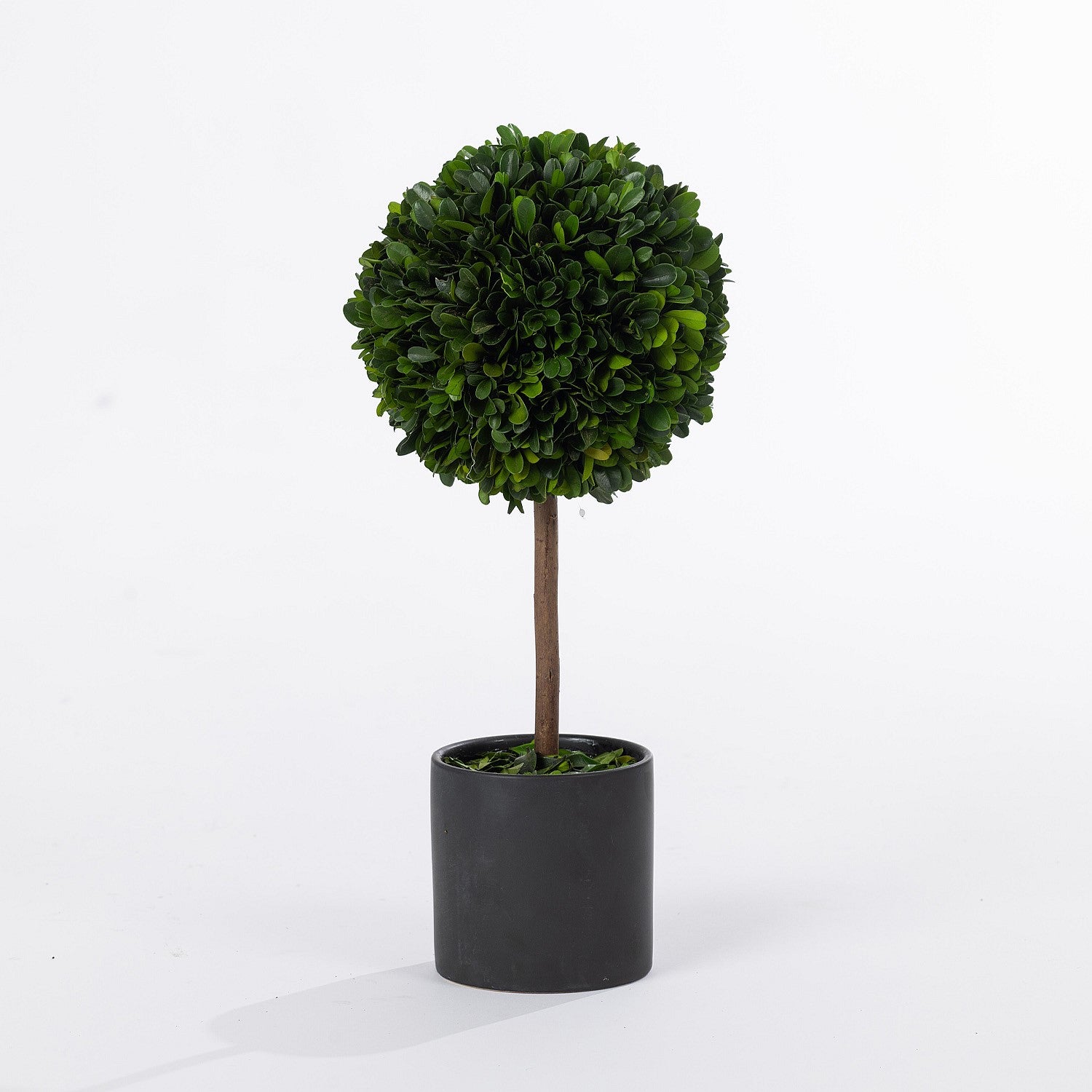 FAULTY CANT GO ONLINE Everlasting Tuscany Topiary Boxwood Ball 38cm
