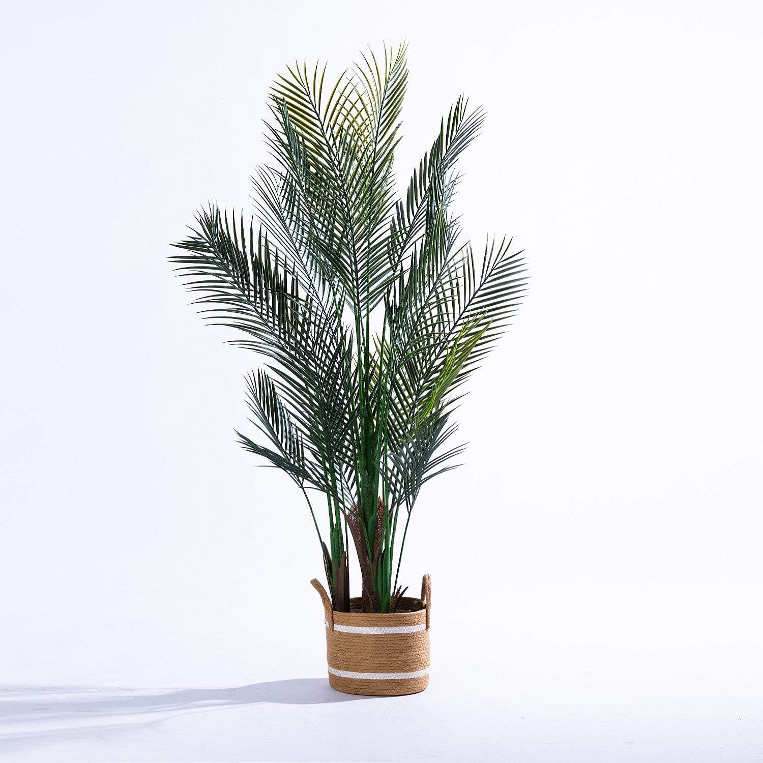 Everlasting Archer Palm Tree 150cm