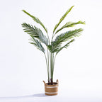 Everlasting Archer Fern Palm 170cm