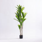 Artificial 140cm dracaena tree with realistic variegated green foliage displayed in a black nursery pot.