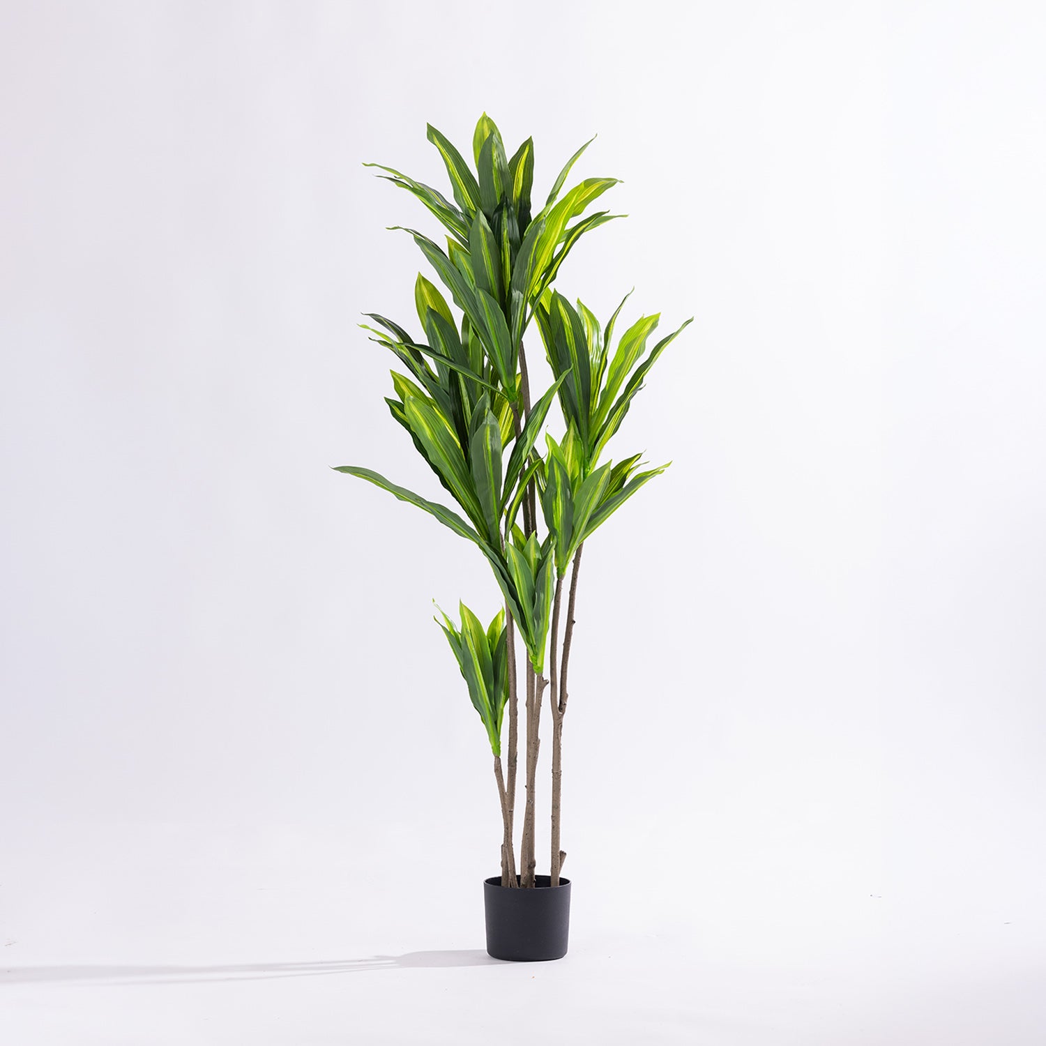 Artificial 140cm dracaena tree with realistic variegated green foliage displayed in a black nursery pot.