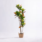 Artificial 145cm codiaeum tree with vibrant green, yellow, orange and red variegated foliage styled in a natural woven basket planter.