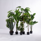 Collection of artificial indoor plants in black pots, including monstera, dracaena, croton, money tree, bird of paradise, agave and leafy green varieties in assorted sizes.