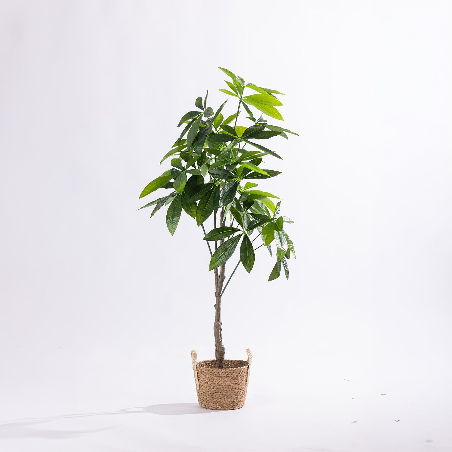 Artificial 125cm fortune tree with lush green foliage styled in a natural woven basket planter.