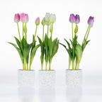 Artificial tulip arrangements in Pink, White and Lilac displayed in matching white speckled pots.