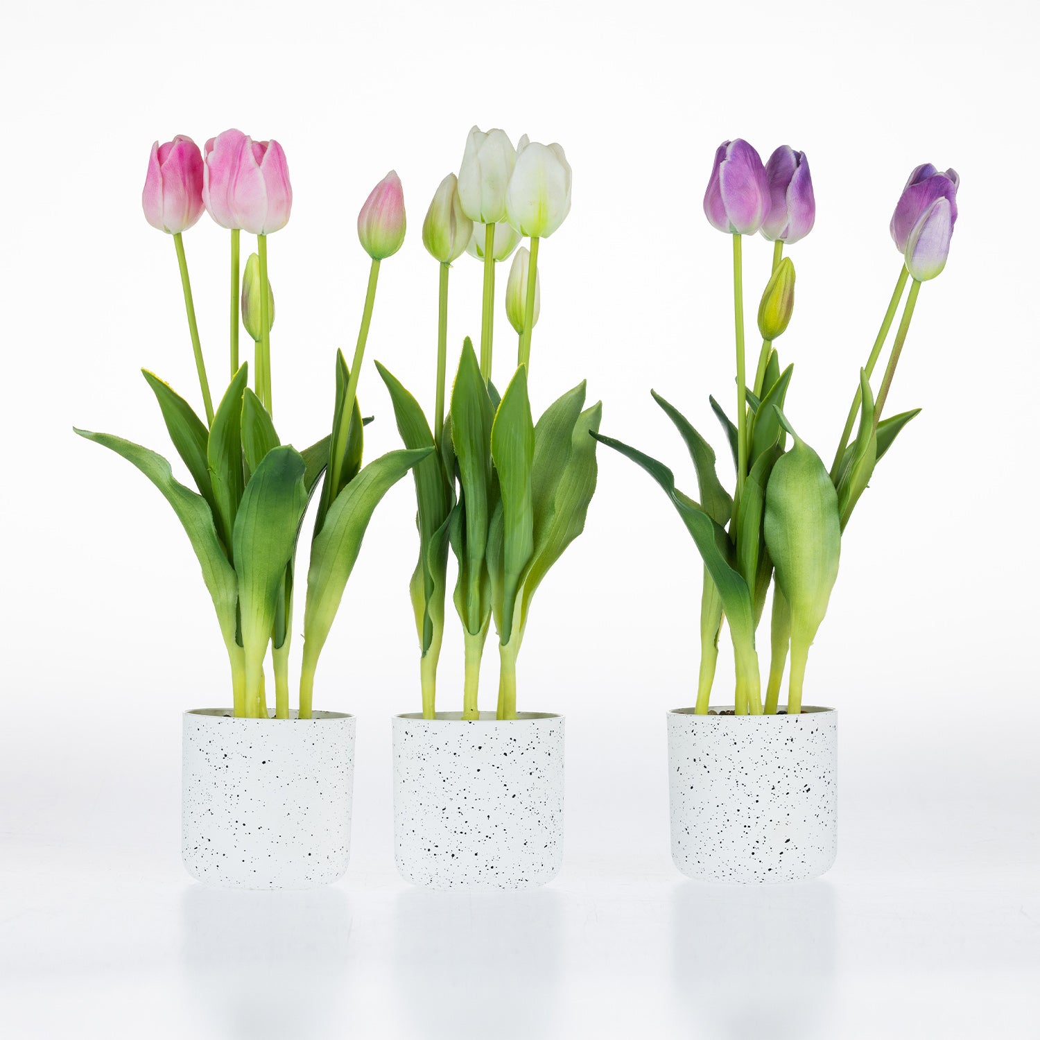 Artificial tulip arrangements in Pink, White and Lilac displayed in matching white speckled pots.
