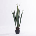 Artificial agave plant with tall sculptural green foliage in a black nursery pot.
