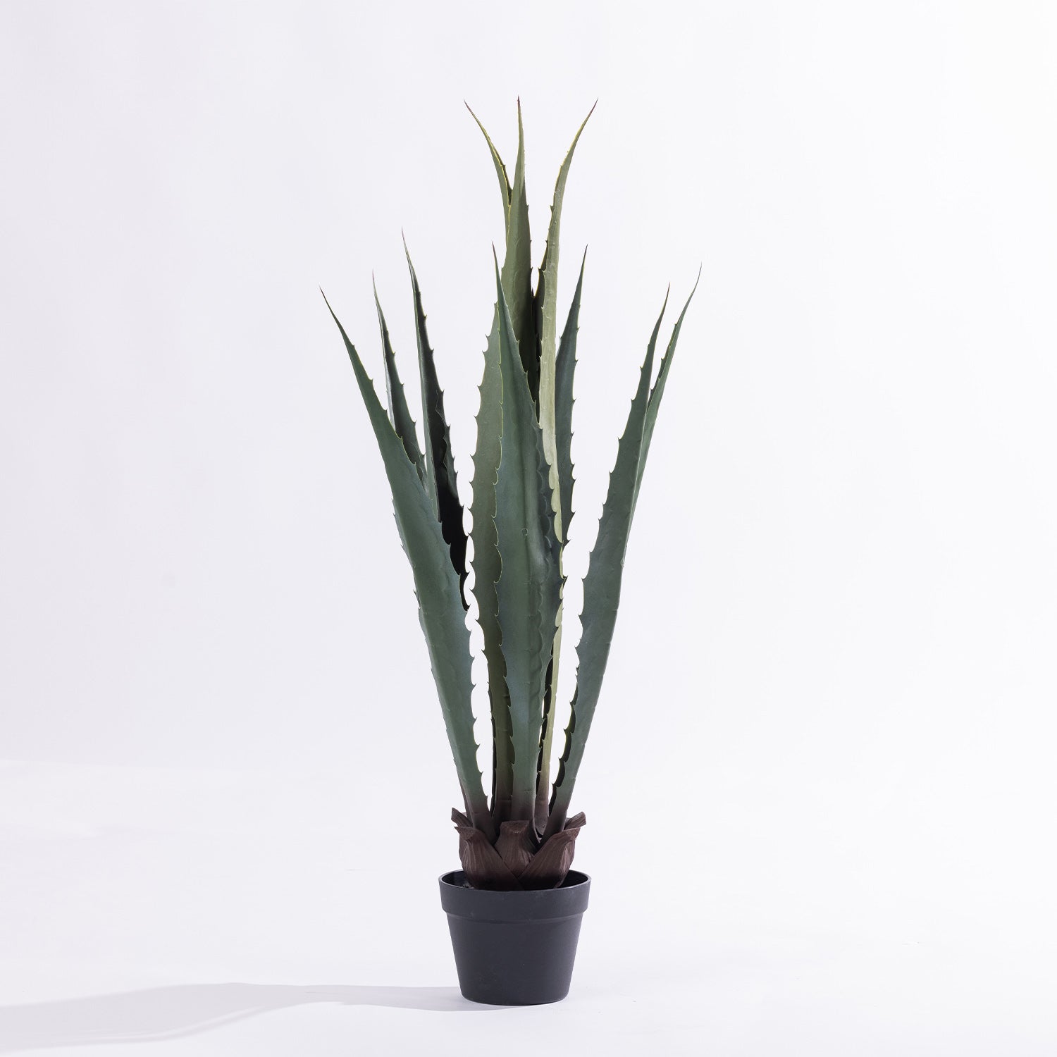 Artificial agave plant with tall sculptural green foliage in a black nursery pot.