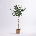 Artificial eucalyptus tree with rounded green foliage in a black nursery pot.