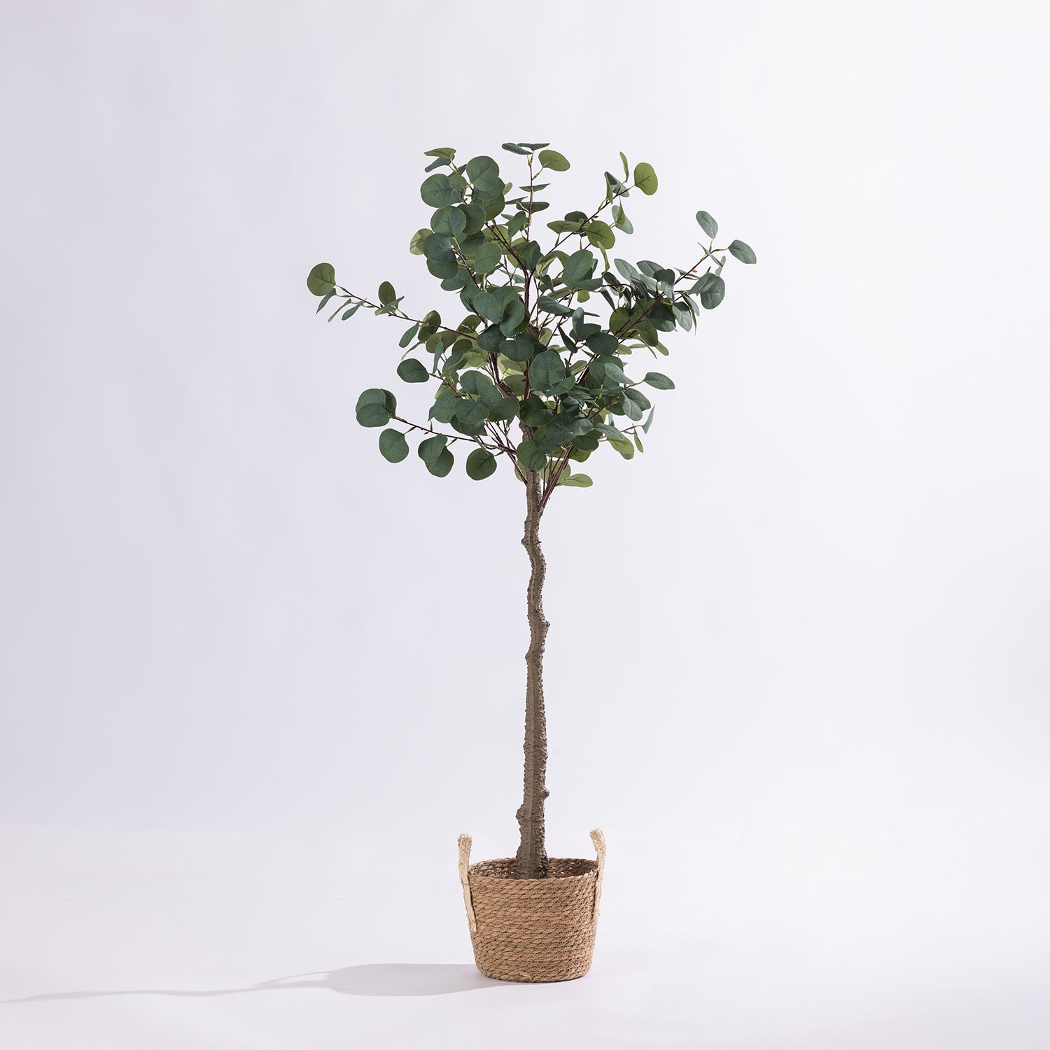 Artificial eucalyptus tree with rounded green foliage in a black nursery pot.