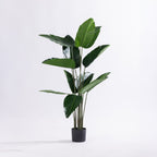 Artificial travellers banana tree with large tropical green leaves in a black nursery pot.