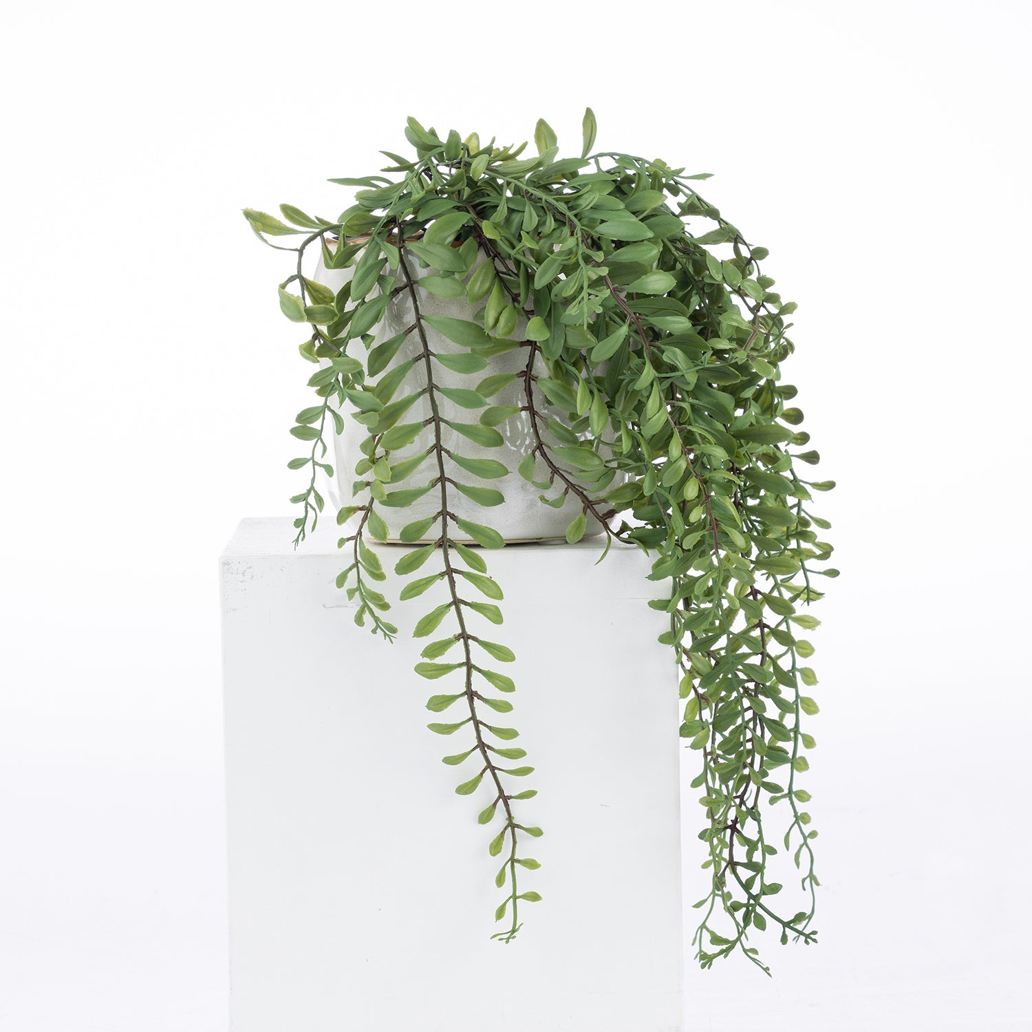 An artificial trailing green plant with small oval leaves draped over a white pedestal against a plain white background.