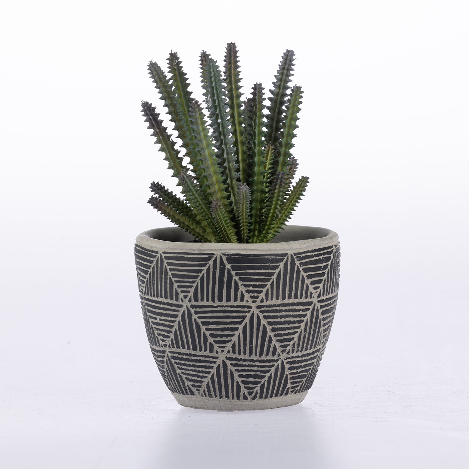 A green cactus plant in a dark gray ceramic pot with a geometric triangular line pattern, set against a plain white background.