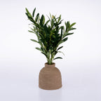 An artificial olive branch plant with green leaves in a textured, dome-shaped brown ceramic pot, set against a plain white background.
