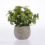 An artificial green leafy plant with realistic stems and leaves, potted in a textured gray concrete-style round planter, set against a seamless white background.