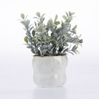 Design Plus Mixed Foliage In Ceramic Pot