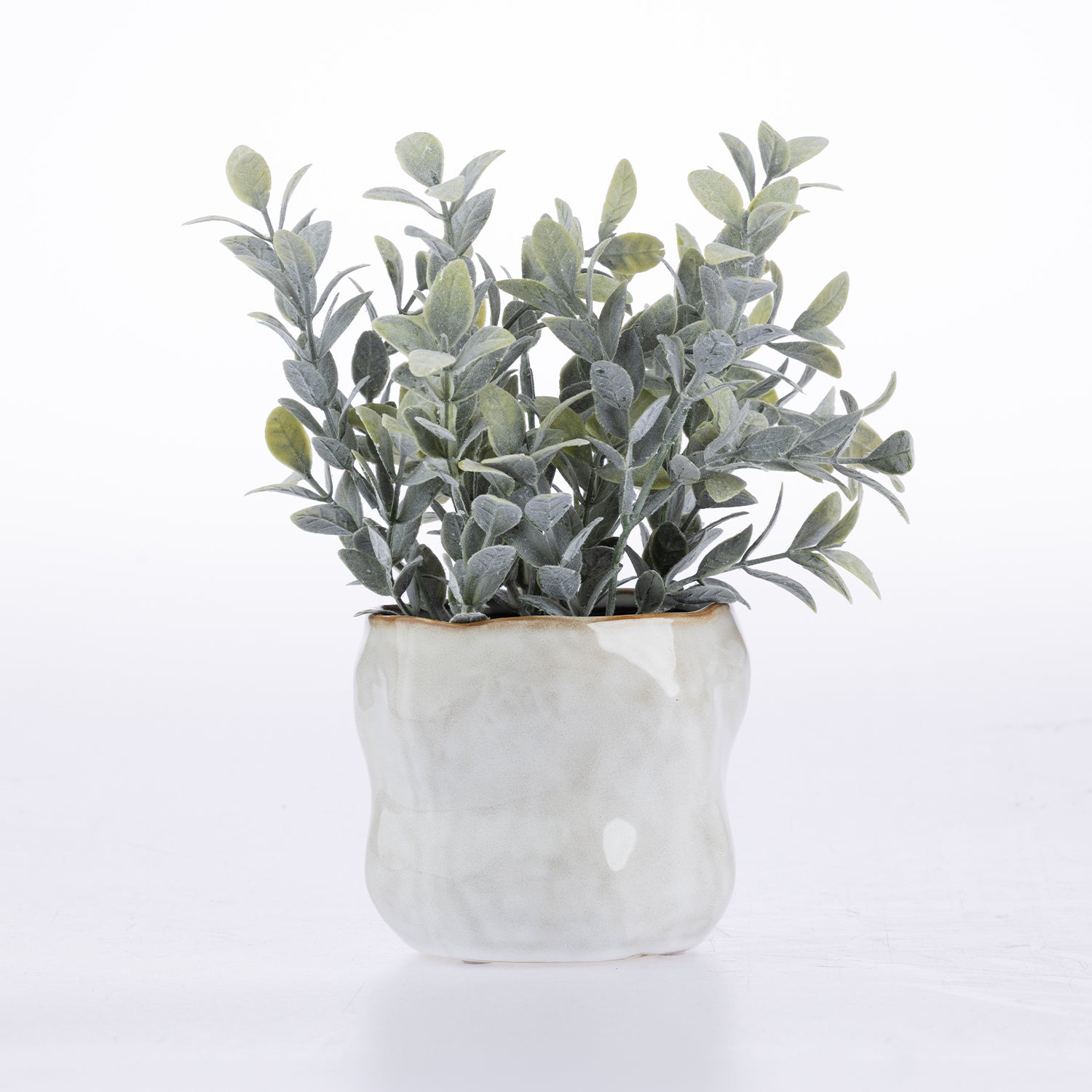 Design Plus Mixed Foliage In Ceramic Pot