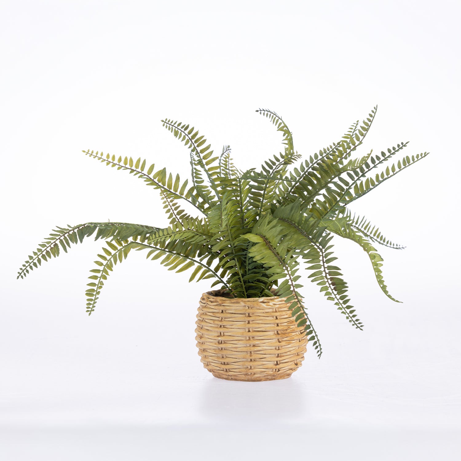 An artificial green fern plant in a round, light brown woven wicker basket pot, photographed against a seamless white studio background.