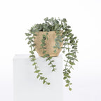 An artificial trailing green plant with small oval leaves in a textured beige pot, displayed on a white pedestal against a white background.