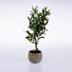 An artificial potted olive tree with green leaves and a brown trunk, set in a round textured gray concrete pot against a white studio background.