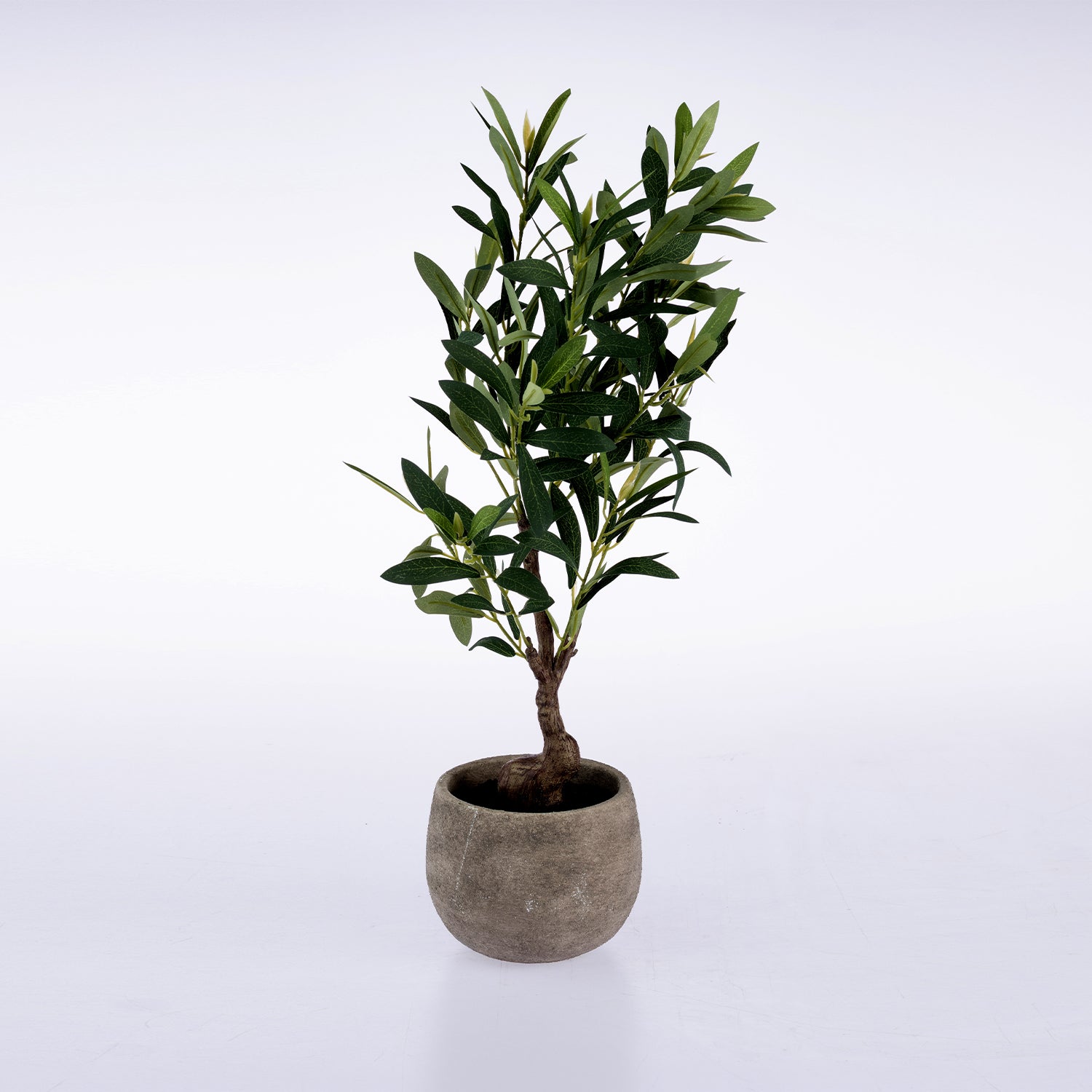 An artificial potted olive tree with green leaves and a brown trunk, set in a round textured gray concrete pot against a white studio background.