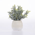 Design Plus Lush Plant In Ceramic Pot
