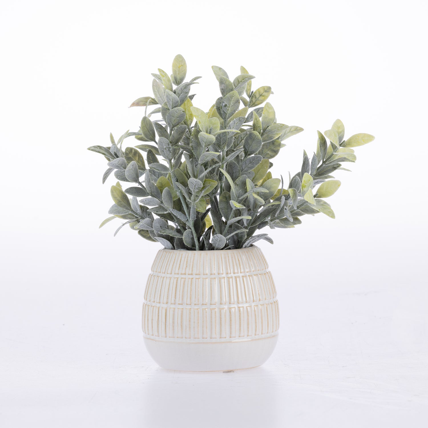 Design Plus Lush Plant In Ceramic Pot