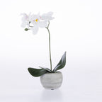 An artificial white Phalaenopsis orchid with dark green leaves and a white patterned ceramic pot, set against a seamless white background.