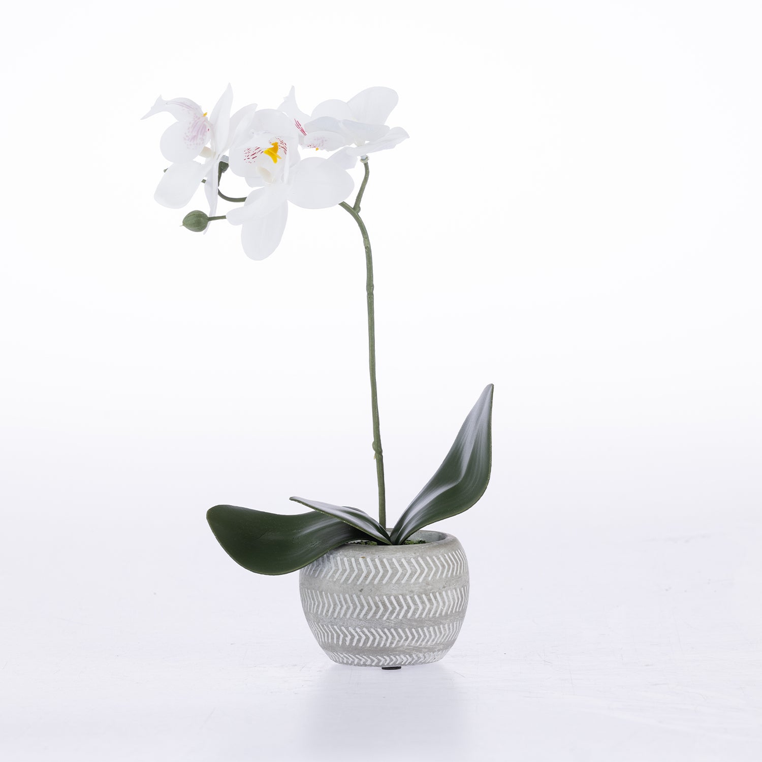 An artificial white Phalaenopsis orchid with dark green leaves and a white patterned ceramic pot, set against a seamless white background.
