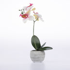 Design Plus Real Touch Orchid Pink & White