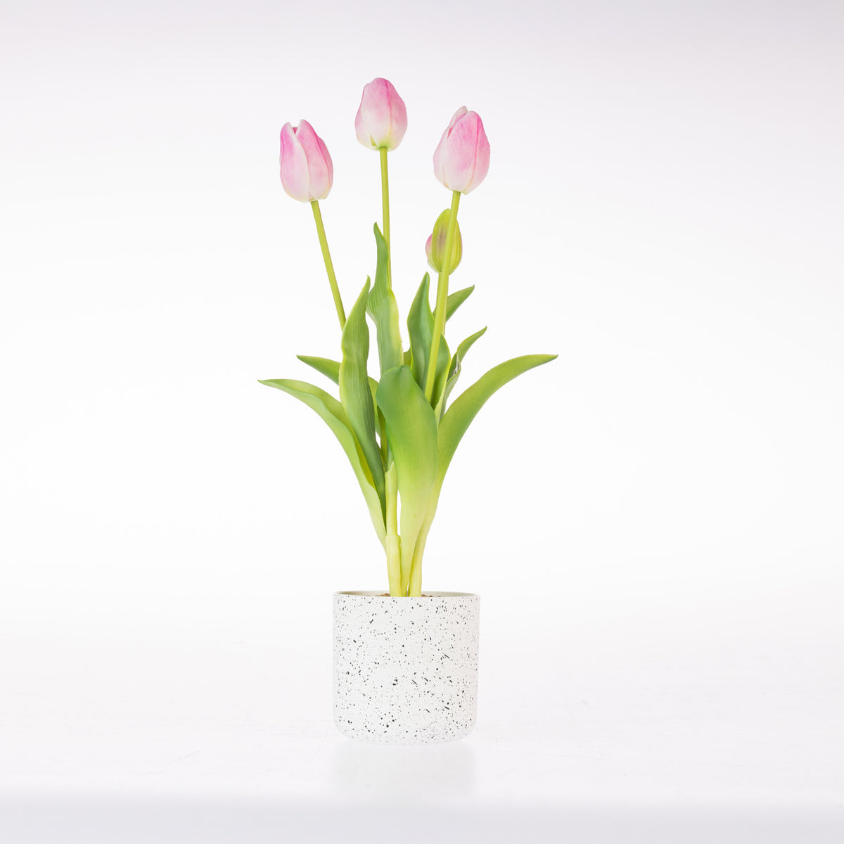 A bunch of pink tulip flowers with green stems and leaves arranged in a small speckled white cylindrical vase against a clean white background.