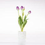 A bunch of purple tulip buds with green leaves in a small white speckled ceramic pot, set against a plain white background.