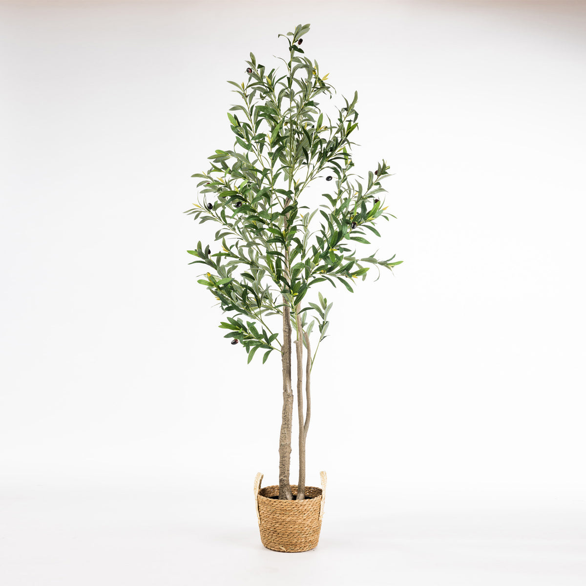 Design Plus Tilly Olive Tree 165cm