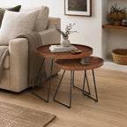 Amparo Acacia set of 2 coffee tables styled in a neutral living room.