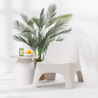 A modern white molded plastic chair styled in a bright, minimalist room next to a matching white side table with a green drink and lemons, featuring a potted palm plant in the background.