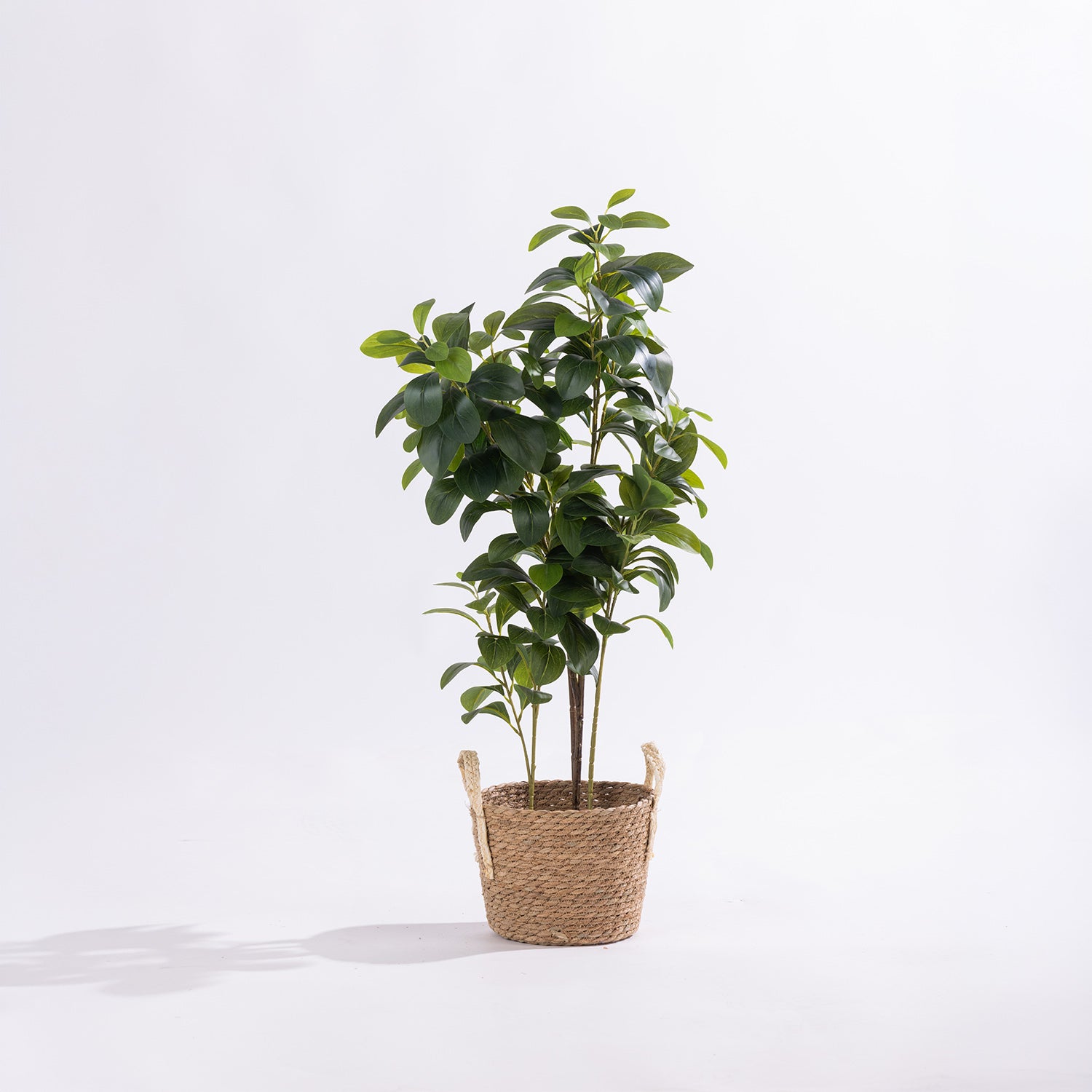 Artificial peperomia plant with glossy green foliage displayed in a woven basket.