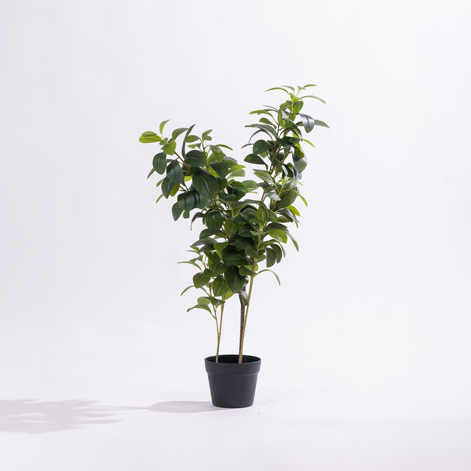 Artificial peperomia plant with glossy green foliage in a black nursery pot against a white background.