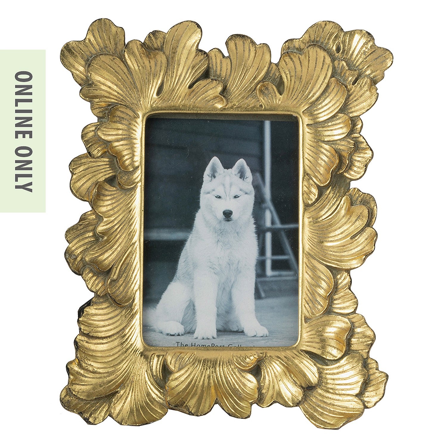 Design Plus Duchess Photo Frame