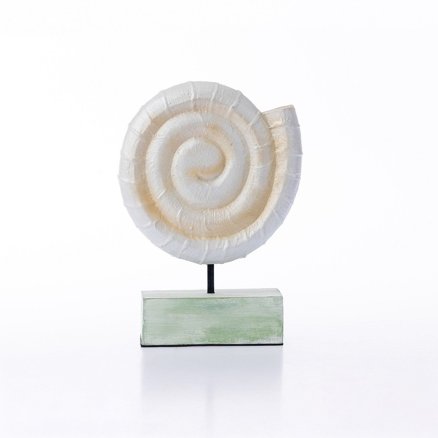 Cove Banded Shell On Stand